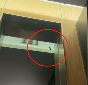 电子产品 第1652页