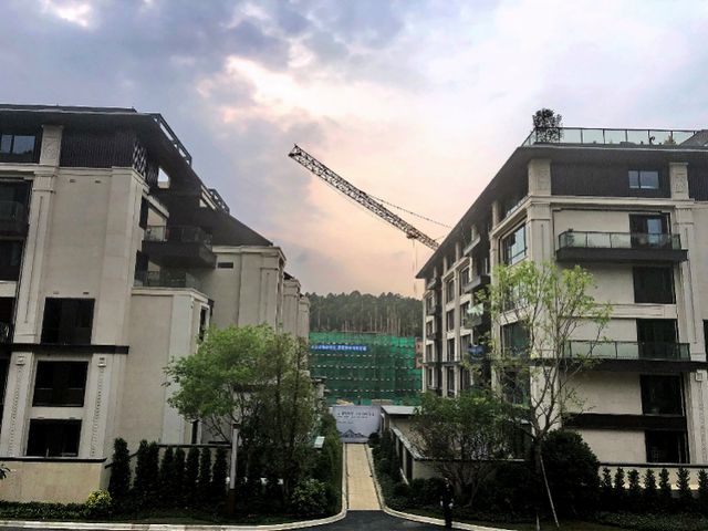 第6442页