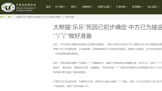 美网络攻击活动揭秘，可被捕获的秘密与独特环境魅力的探索