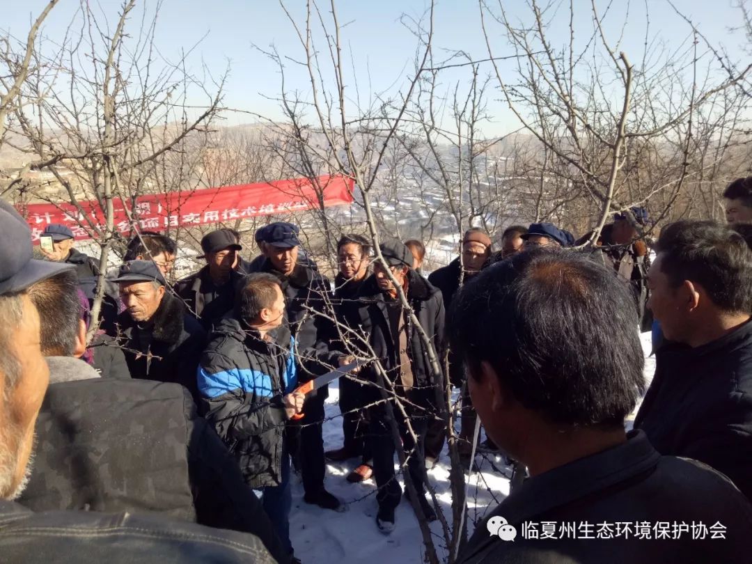 甘肃临夏失踪三姐弟大哥发声，探寻小巷深处的独特美味与失踪谜团