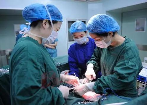 双胞胎产检正常却胎死腹中事件深度解析与医院回应科普