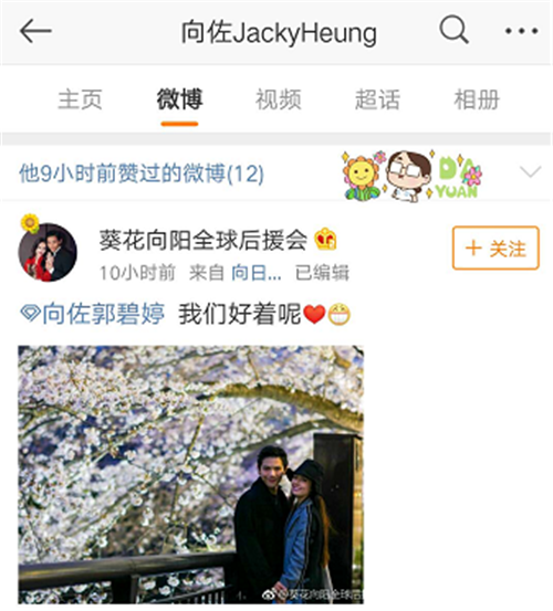 向佐回应头像被用于拍照签到，自然美景中的心灵探索之旅