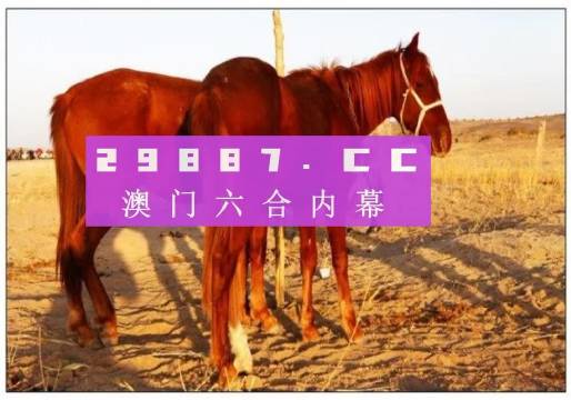 澳门六开彩天天开奖结果生肖卡，最新热门解答落实_iShop98.89.87