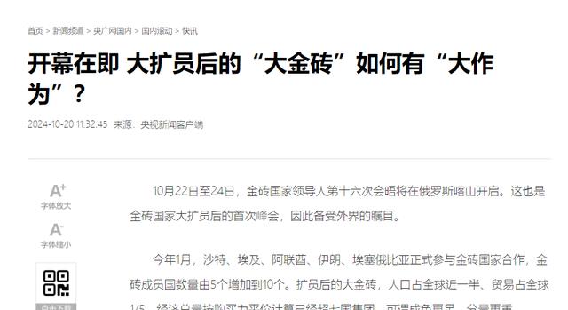 大金砖的巨大潜力挖掘与实现大作为之路。