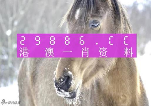 第5925页