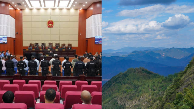 哀牢山捕猎事件揭秘，9人遭公诉，野外狩猎活动合法安全指南