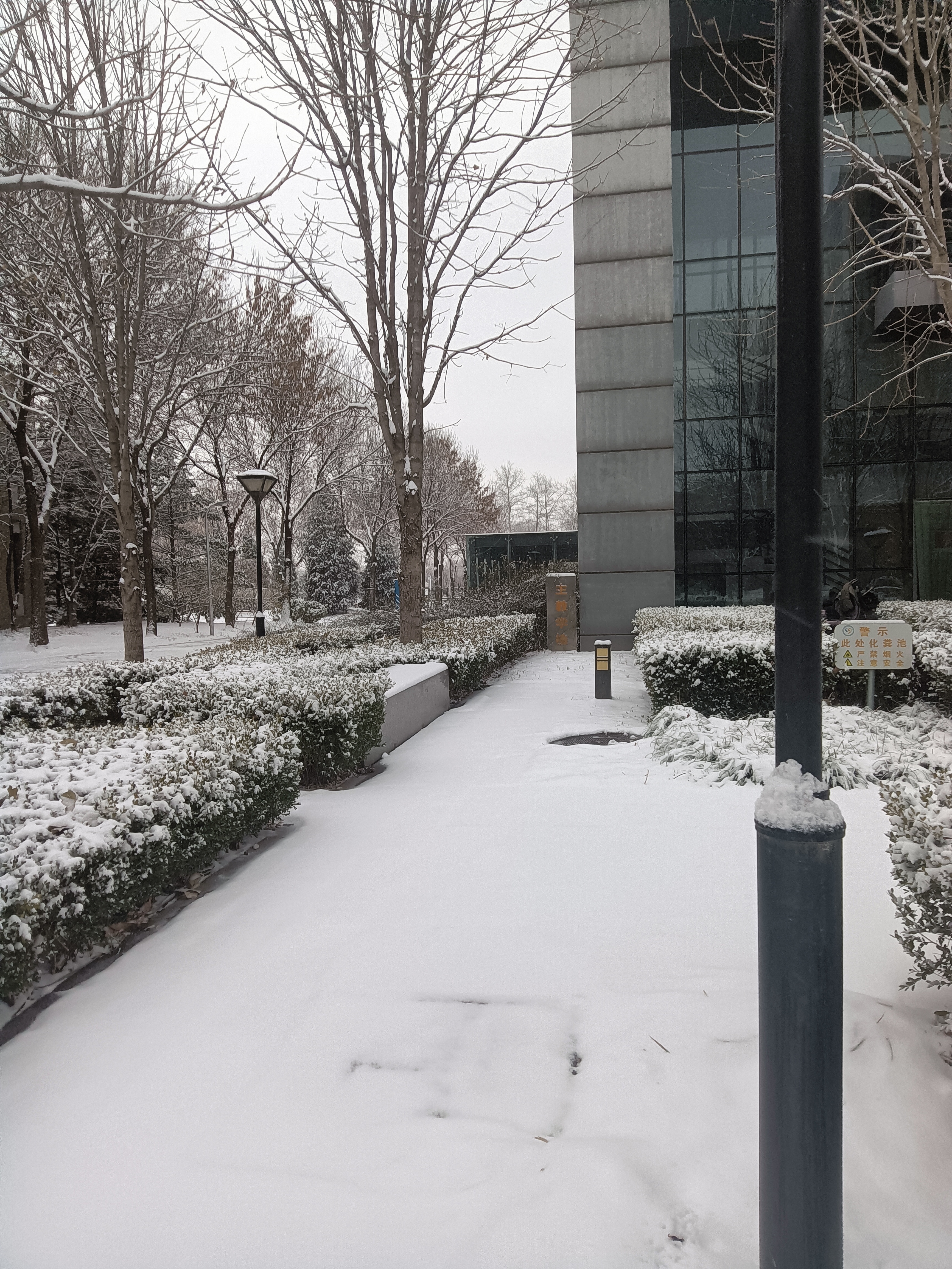 北京下雪了！实拍雪景美不胜收