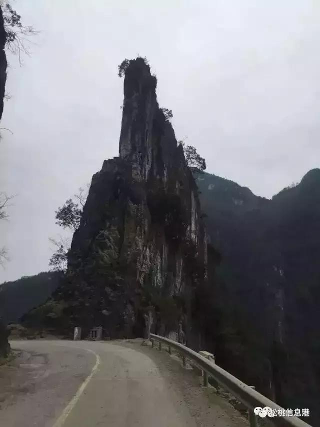 持菜刀伤人者的心灵探索，神经内科与大自然的对话之旅