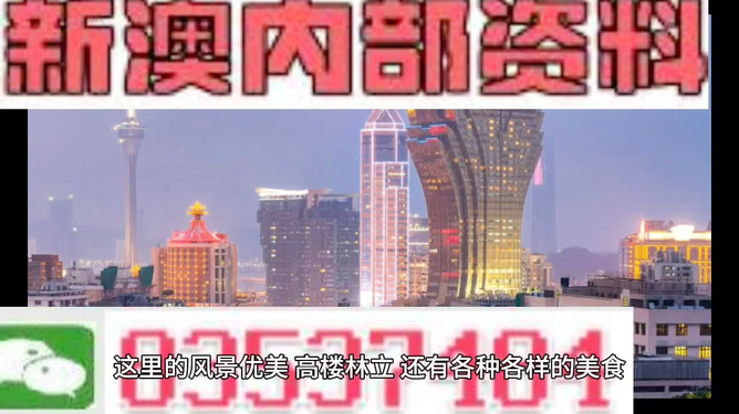 新澳精准资料免费提供濠江论坛,实地分析数据方案_特惠版61.663