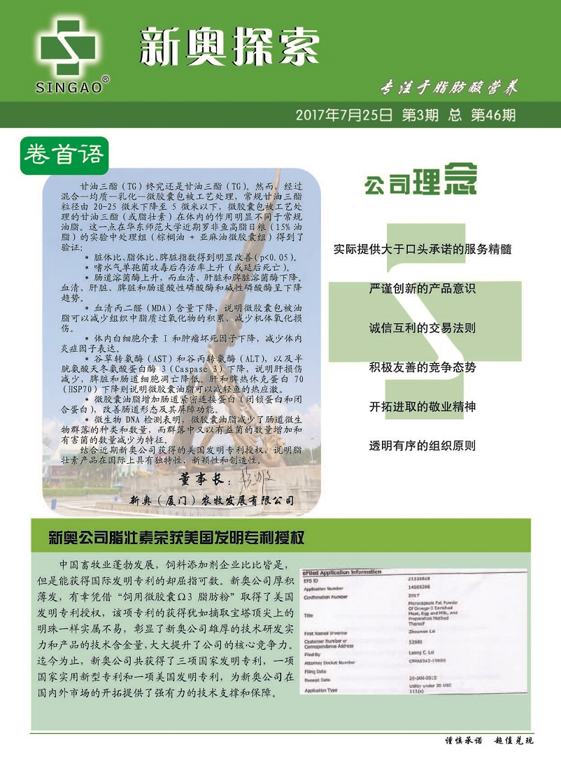 2024新澳精准资料免费提供下载,实用性计划落实研究_10K52.165