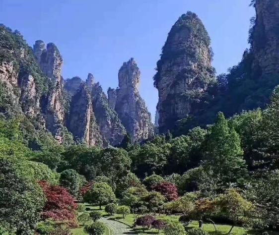张家界景区收费争议，真相揭秘与误解澄清