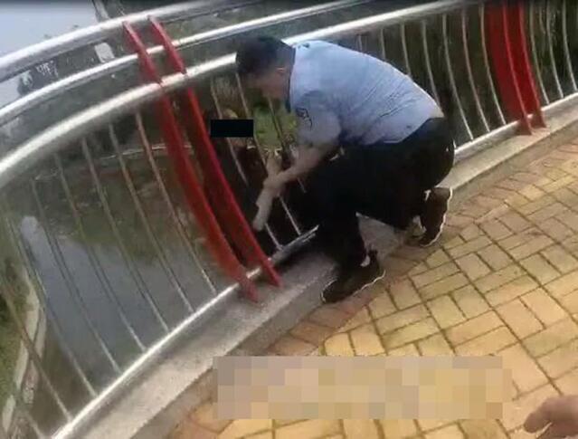民警合力救下跳桥男子，展现社会事件中的责任与决断勇气
