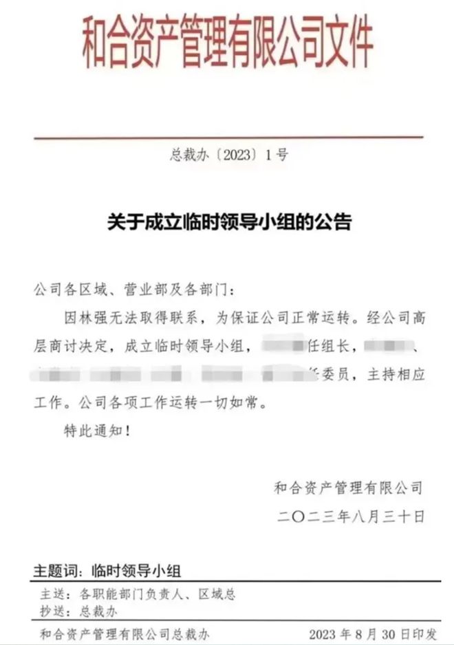 和合系实控人林强境外被捕事件解析与应对指南
