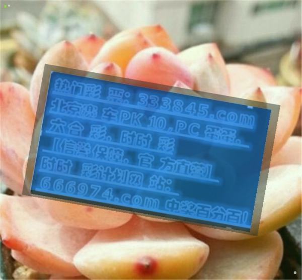 2024管家婆一码一肖资料,专业执行问题处理_透视版47.805