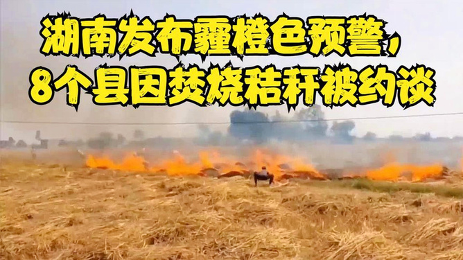 湖南8县因焚烧秸秆遭约谈，如何科学处理秸秆，防止再次违规？