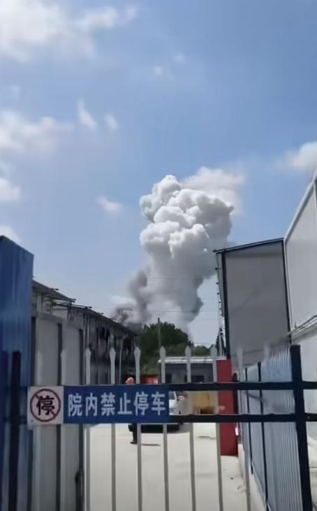 第5951页