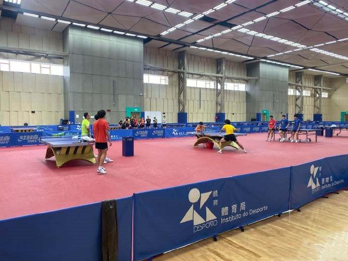 马龙陈梦缺席乒乓全锦赛，原因揭秘与未来展望