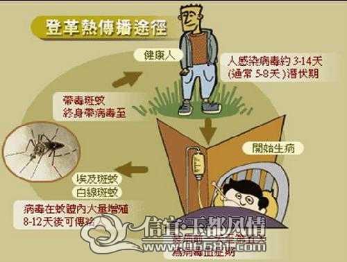 第5585页