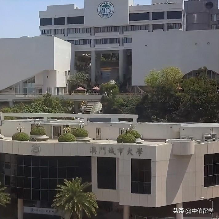 2024澳门购物指南：热门推荐与深度解析_先锋版DAH377.93