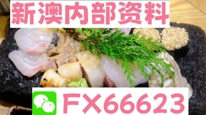 新澳精准资料大放送第221期：动态素材方案解析_解放版SFP618.24