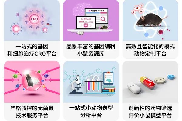 2024新奥精准资料078期免费集锦，薄荷版IWN567.97赢家揭晓