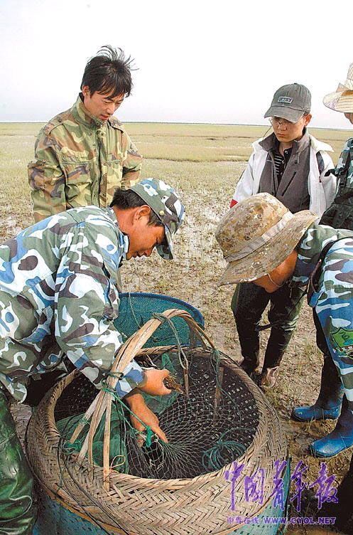 深度解析，靠军工吃军工背后的故事——何文忠被逮捕原因揭秘