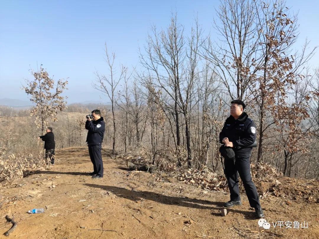 黄河湿地滥伐林木事件揭秘，滥伐行为深度探讨与涉案六人被抓获