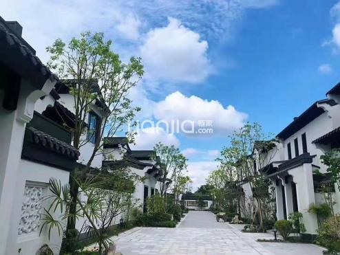 研二逆袭之路，半年减重140斤，从肥胖到完美身材的转变之旅！
