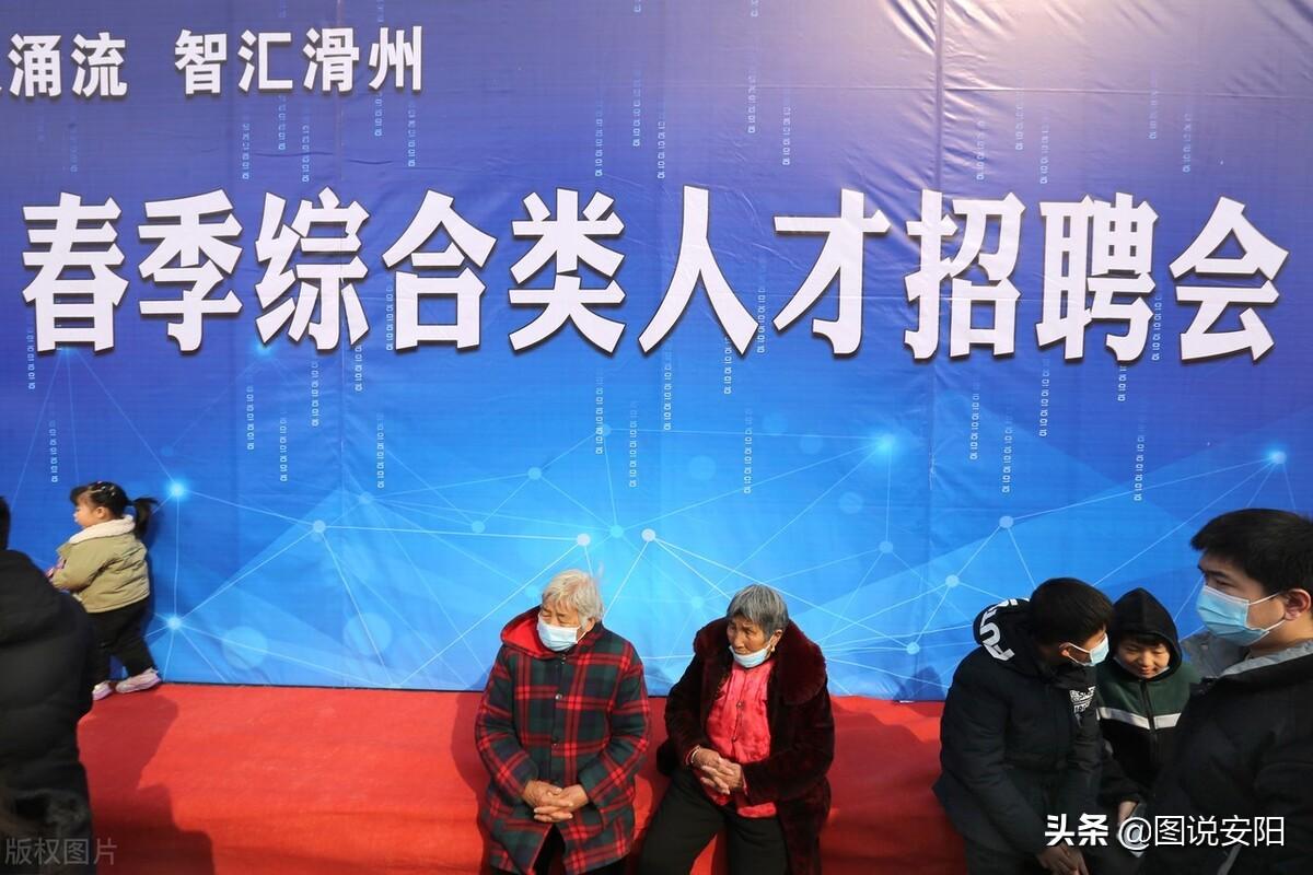 滑县招聘网最新招聘及其多元视角分析