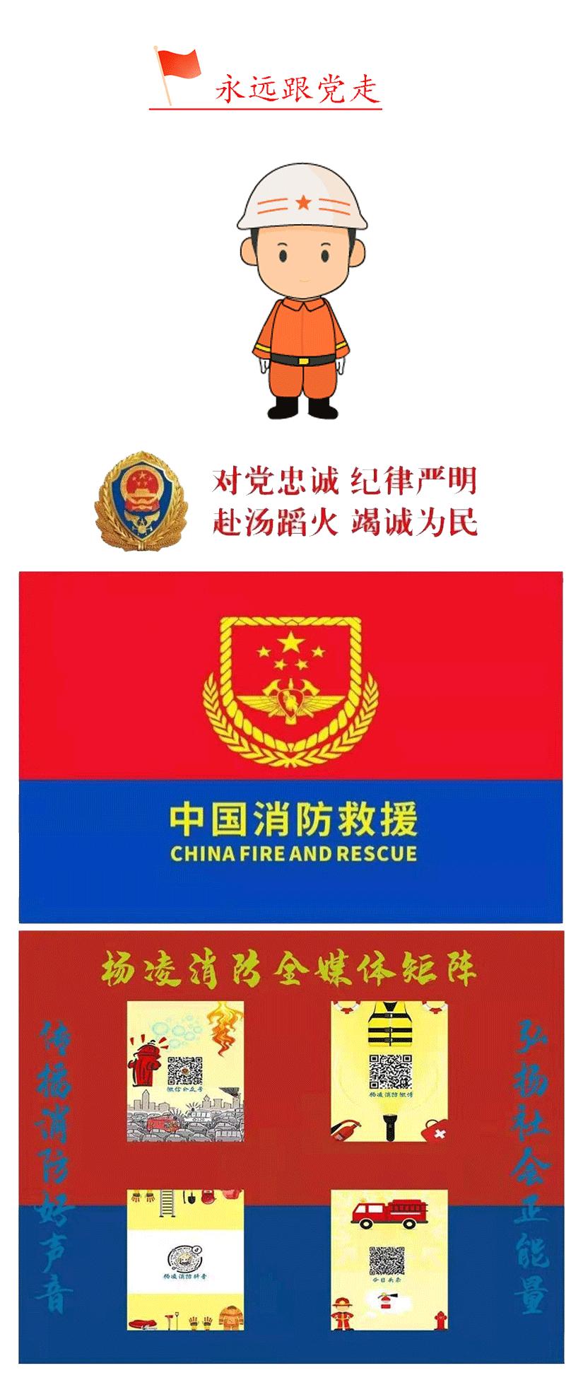杨凌最新新闻报道及论述概述