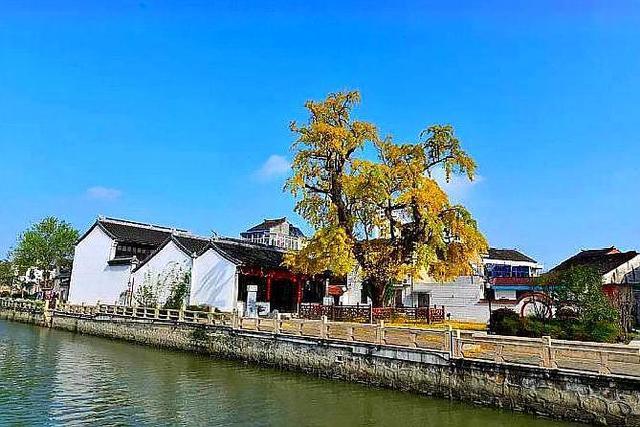 最新上市电影
