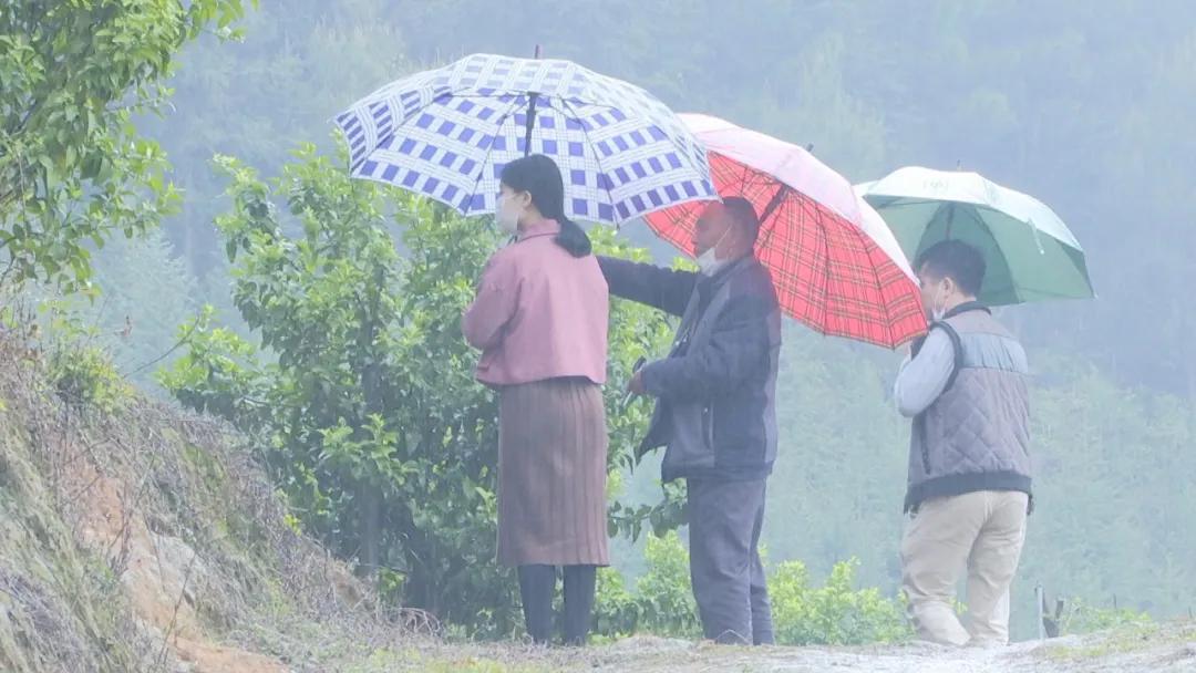 癫痫病国家最新政策解读与更新概述
