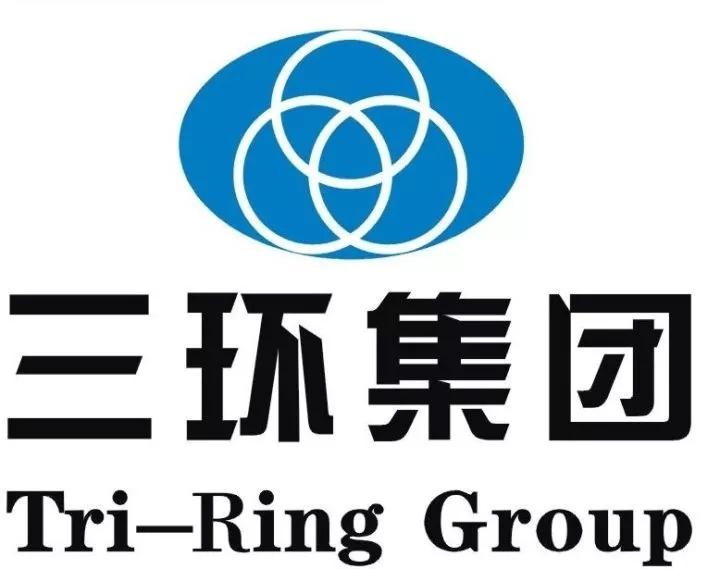 深度解析与观点阐述 第5页