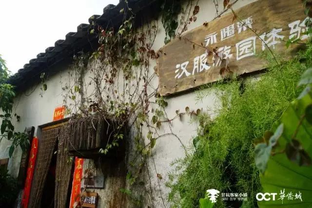 深圳巷弄深处的独特风味，神秘特色小店揭秘