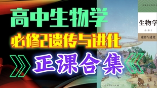 招聘网最新动态，开启职业新篇章，成就自信与成长之路