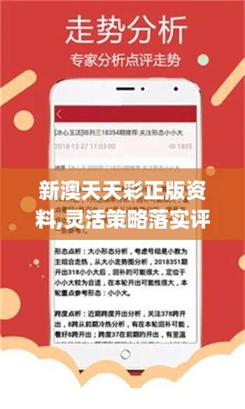 新澳天天彩免费资料查询最新,实地验证方案策略_挑战款133.282-7