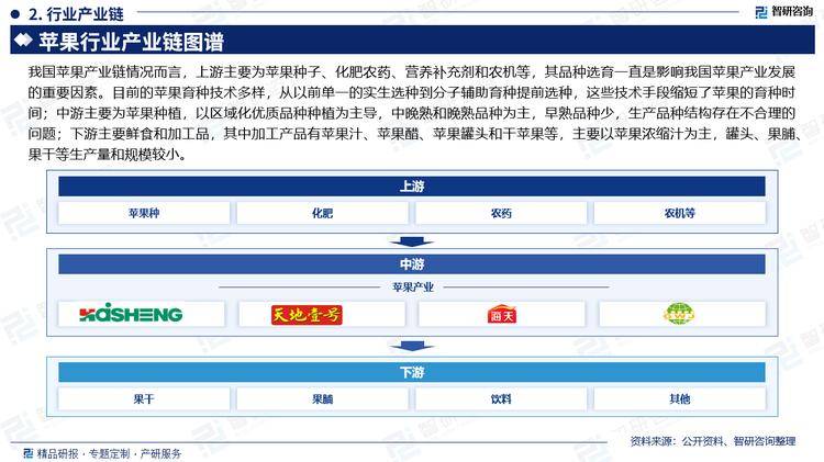 企讯达中特一肖一码资料,深度调查解析说明_苹果45.261-3