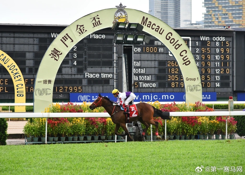 马会蓝月亮免费资料,资源整合策略实施_黄金版118.330-2
