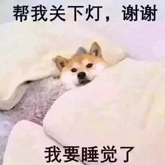 最新表情背后的趣味与情感日常故事