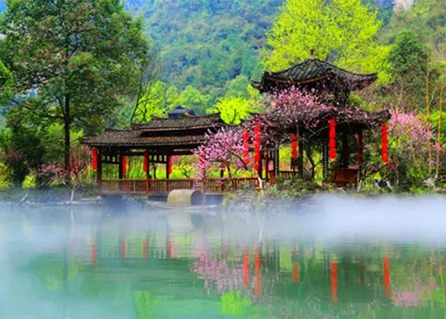 汪的探险之旅，自然美景的探索与内心桃花源的追寻