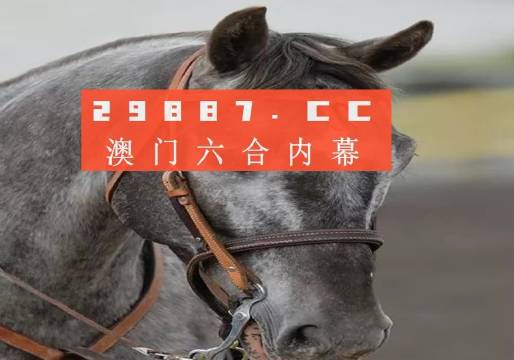 2024买马资料免费网站,实地观察解释定义_掌中宝RFZ1.088