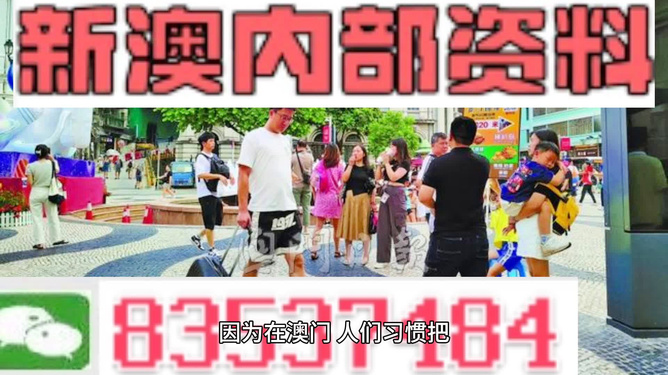 新澳门精准资料大全管家婆料,社会责任实施_计算能力版DTC87.027