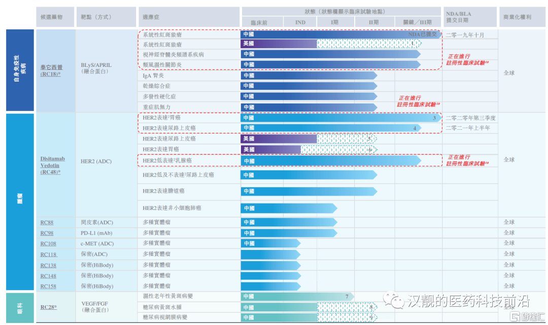 2024新澳最精准资料,详细数据解读_科技版DDX24.082