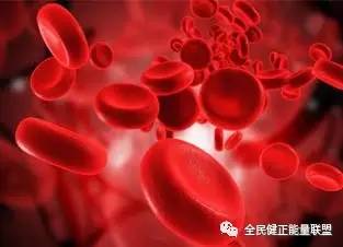 血最新,血最新，探索血液的奥秘与未来展望
