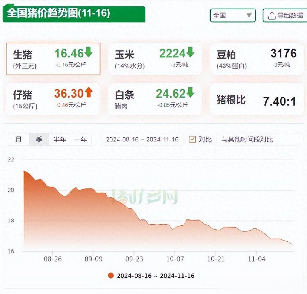 猪最新价格指南，全面解析与步骤详解