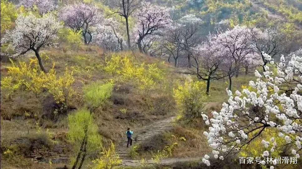 步骤指南解析