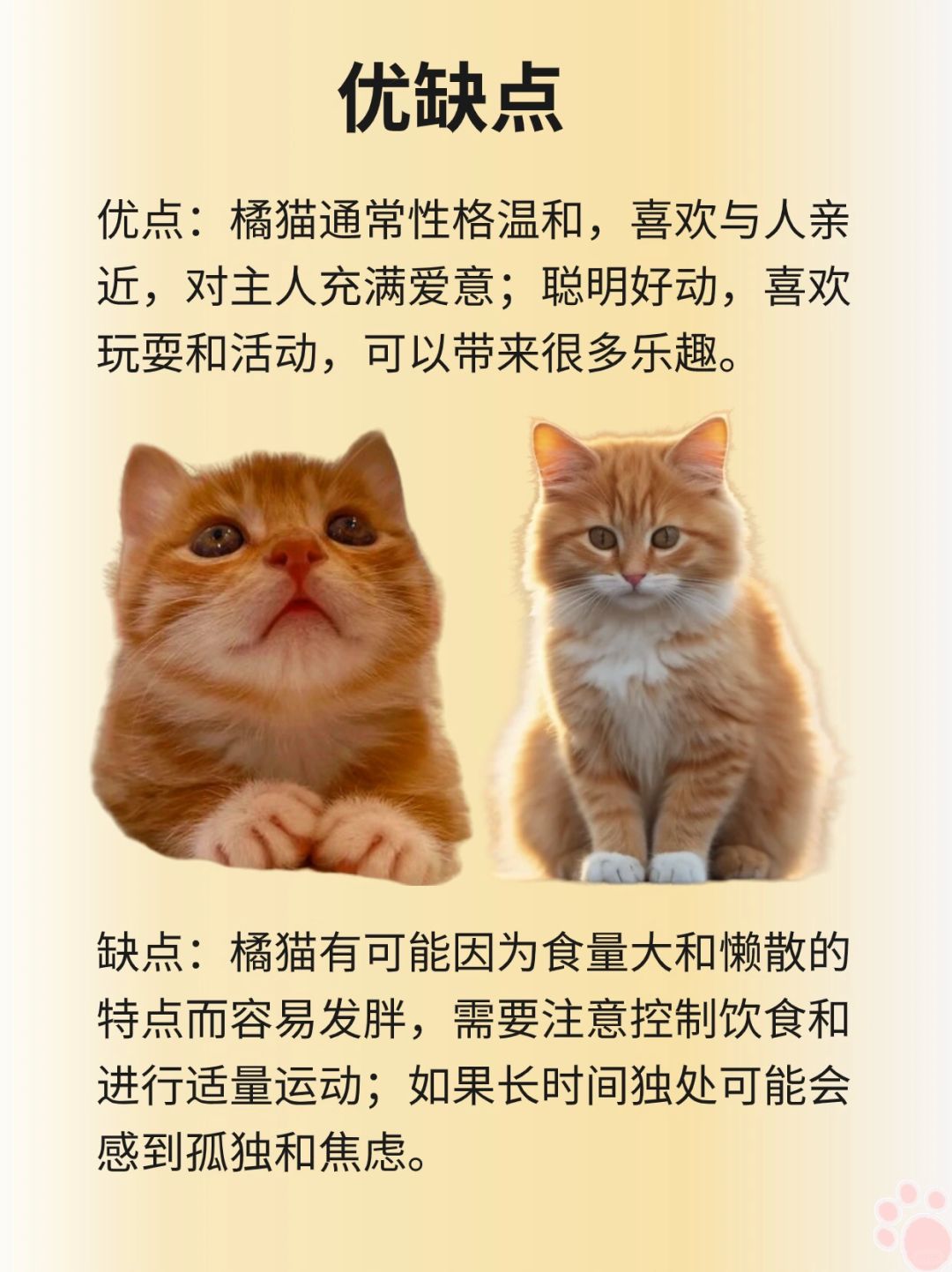 产品特点概述
