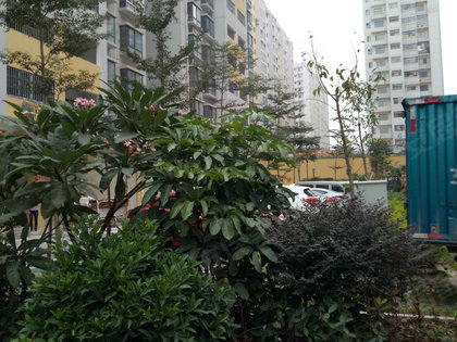 昊壮上水湾最新动态更新