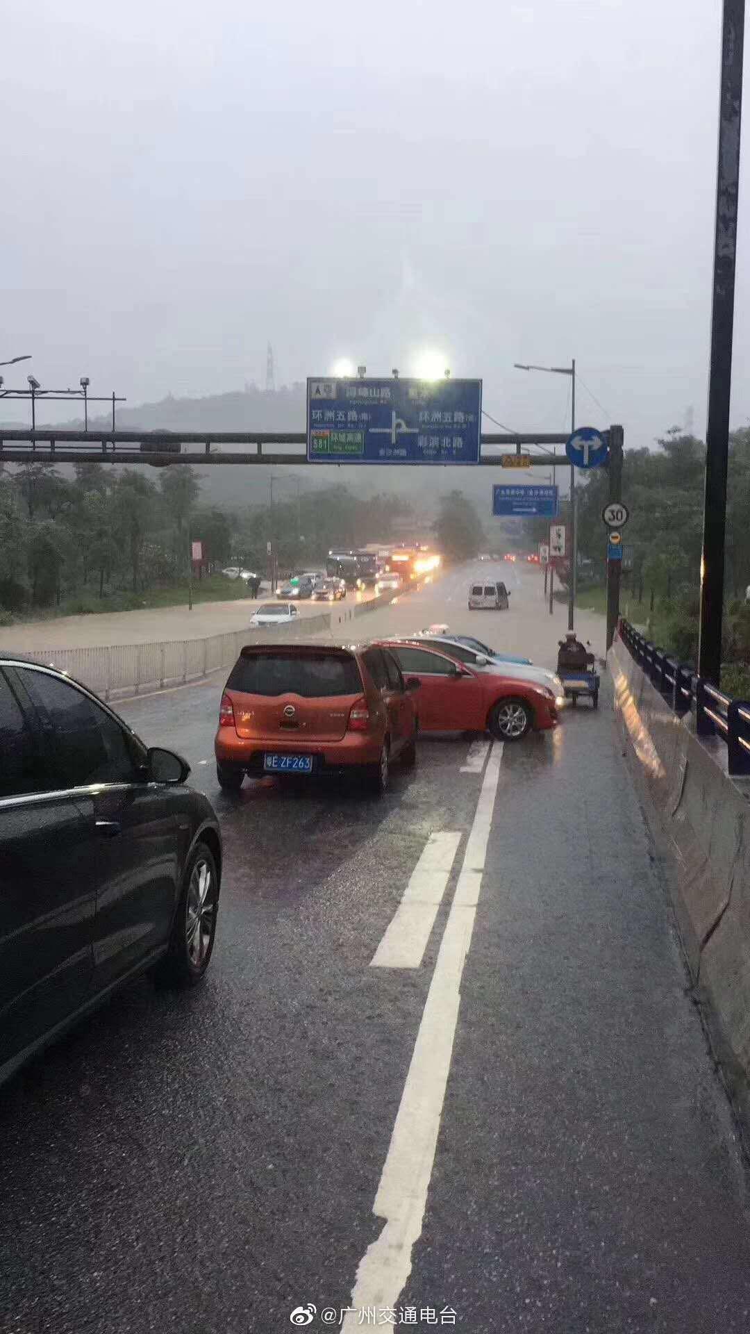雨后美景探索