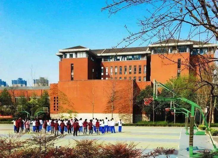 最新市委会揭秘，小巷中的隐藏瑰宝